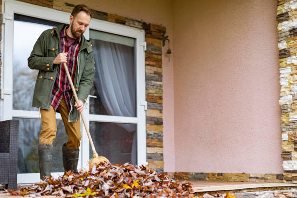 Best Electronics Removal Services  in Waverly, IL